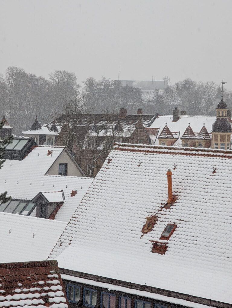 Wärmedämmung beim Dach. Wärmeverlust