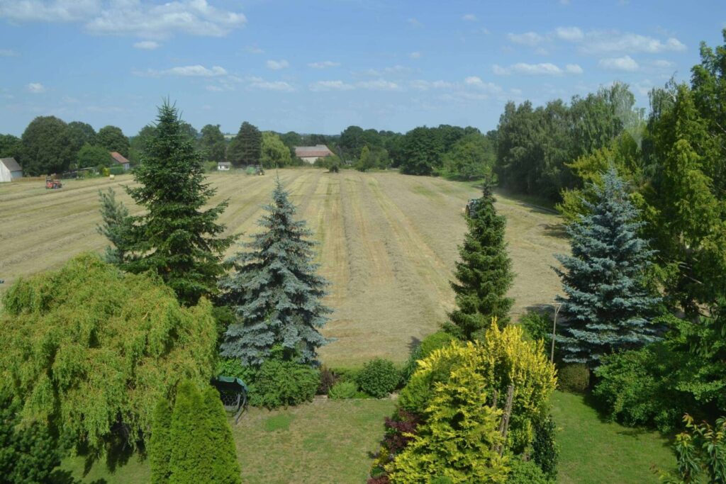 Der Blick vom DG (3)