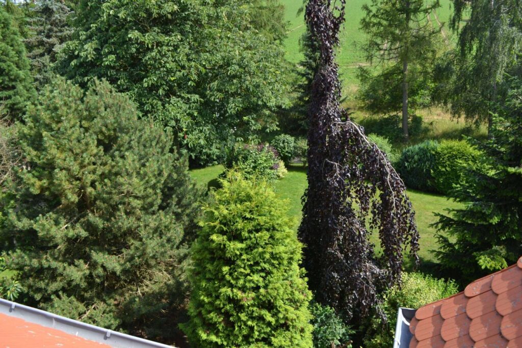 Der Blick auf den Garten
